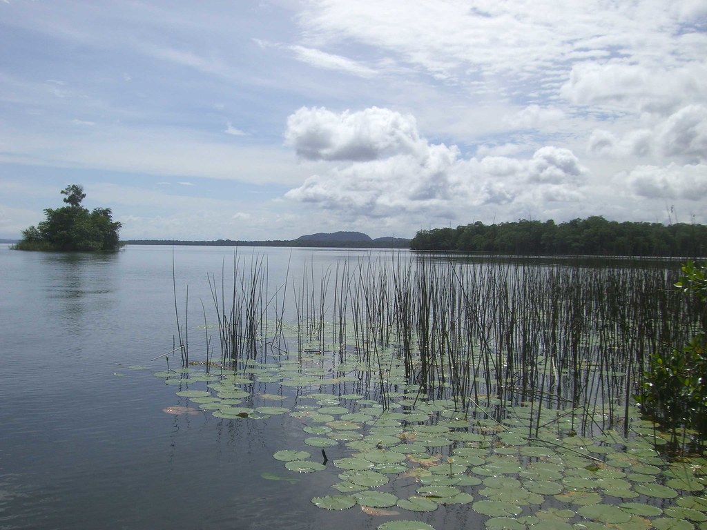 Rio Dulce Rio Dulce nguasi Flickr