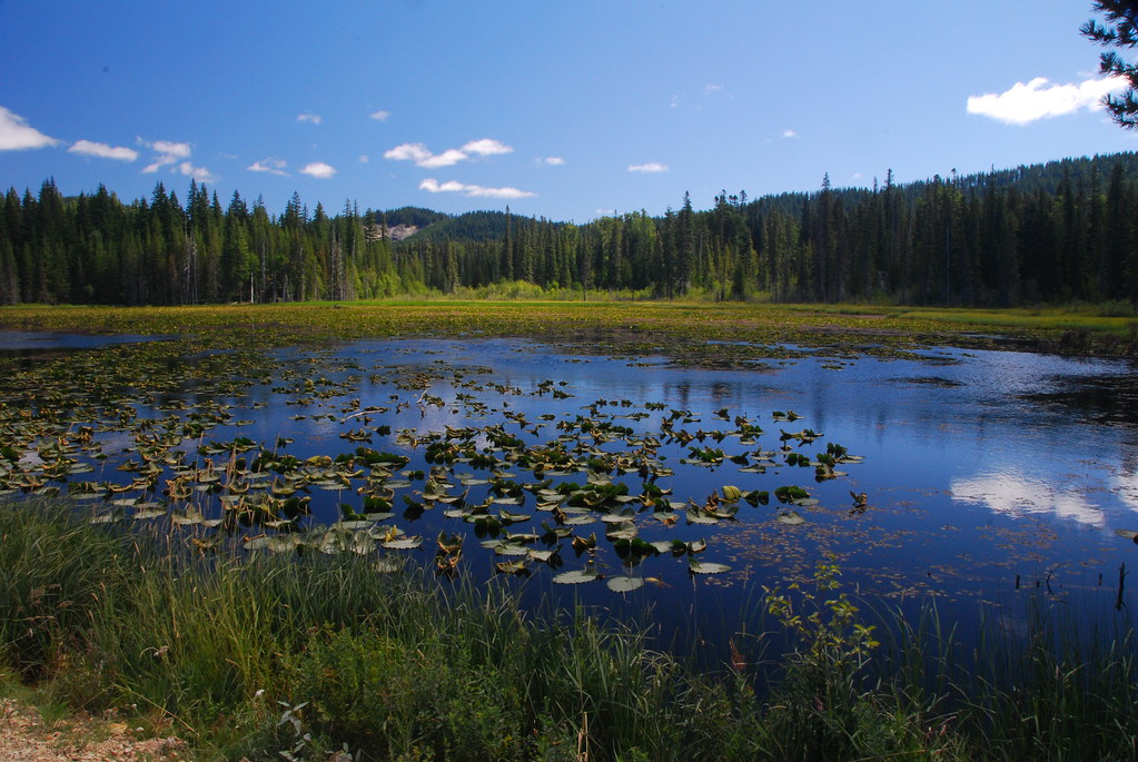 Seasonal Lake at South Prairie Seasonal lake at South Prai… Flickr
