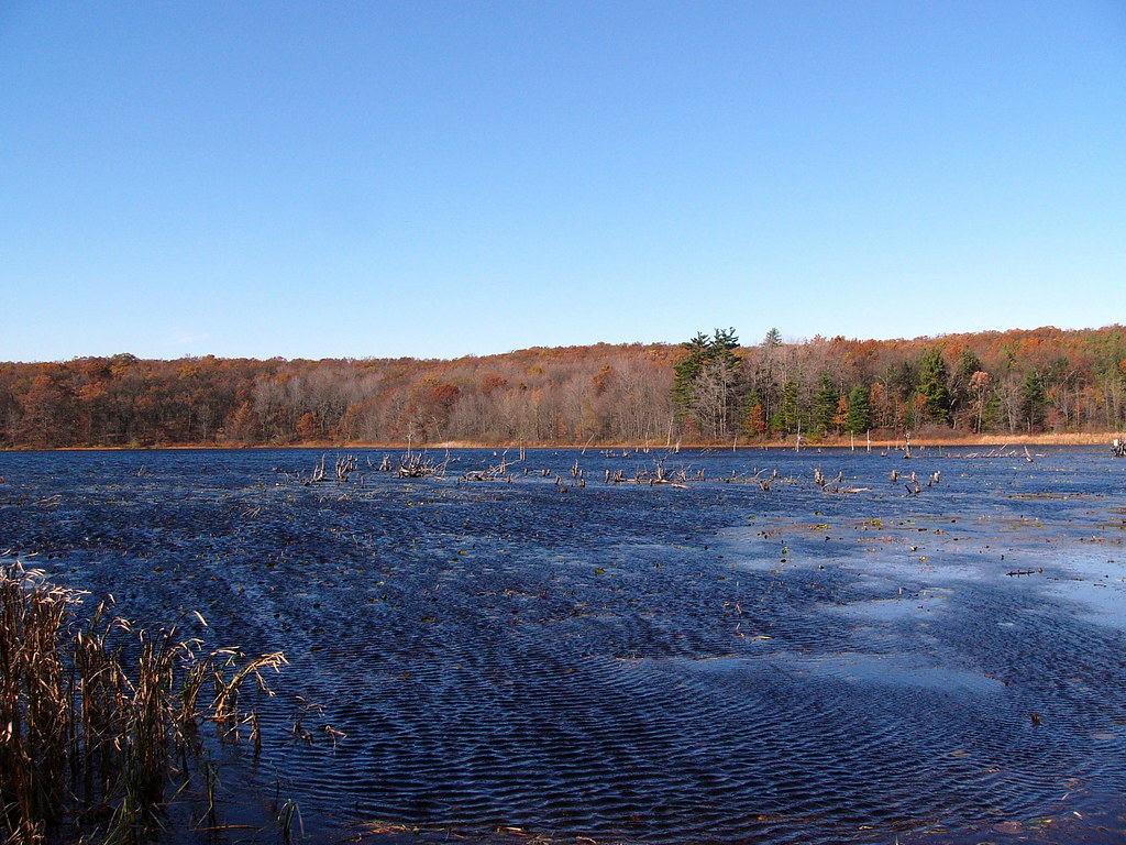 Pickerel Lake Park John Winkelman Flickr