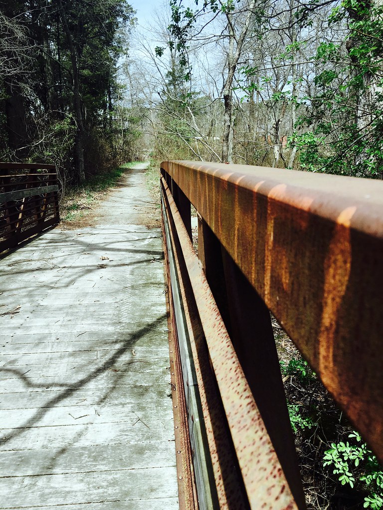 Sawmill Bike Trail in Brick, NJ Emily Taylor Flickr