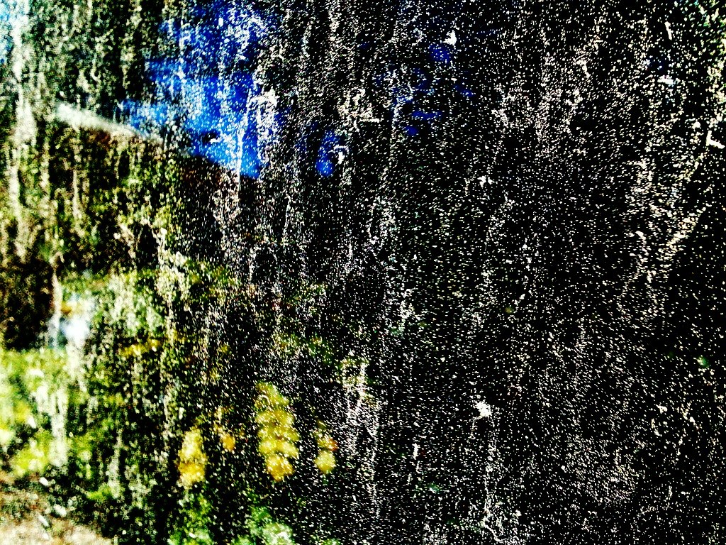 Window Pollen Reflections on some Atlanta area pollen that… Flickr