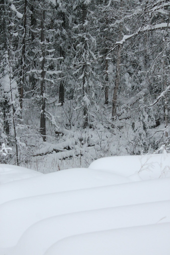 IMG_8203 linda.sully Flickr