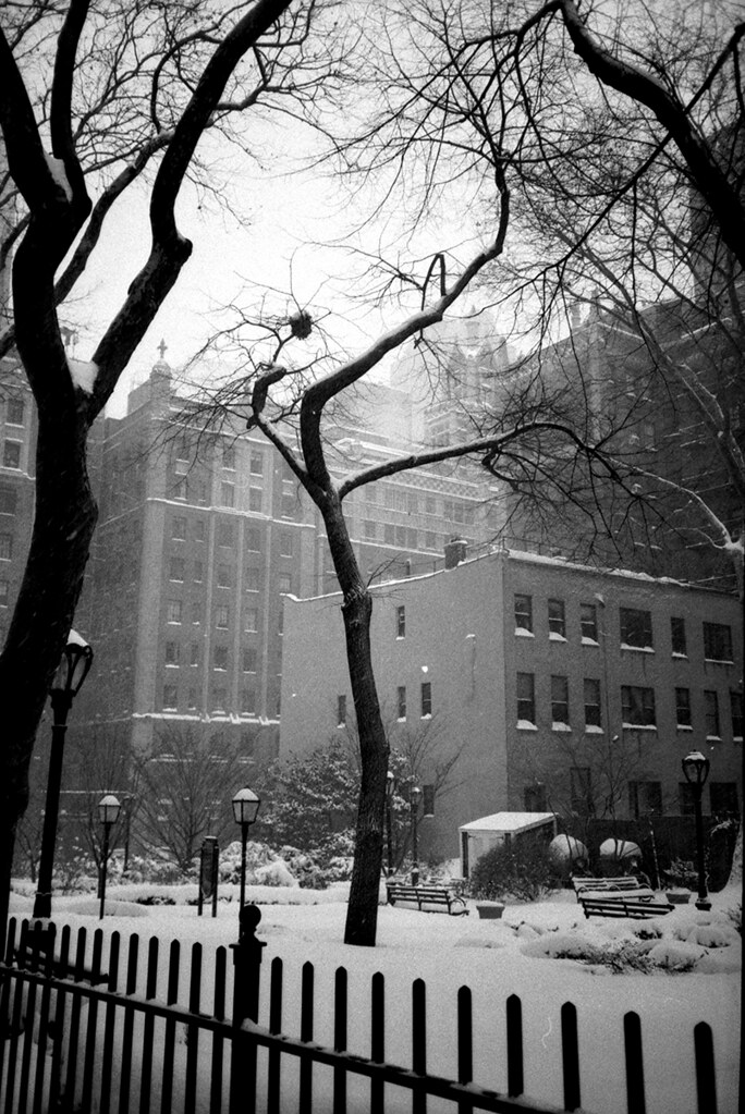 January 23 Snowstorm, NYC Taken January 23, 2016 when New … Flickr