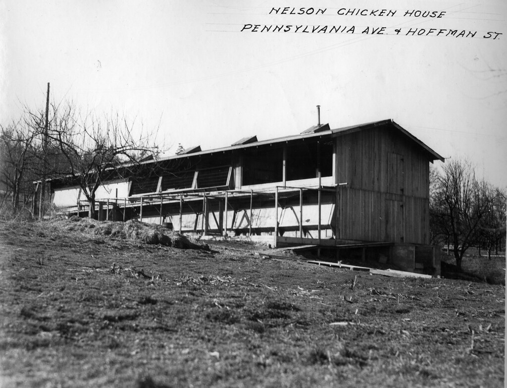 Chicken house, 1931 Item 172135, City Light Photographic P… Flickr