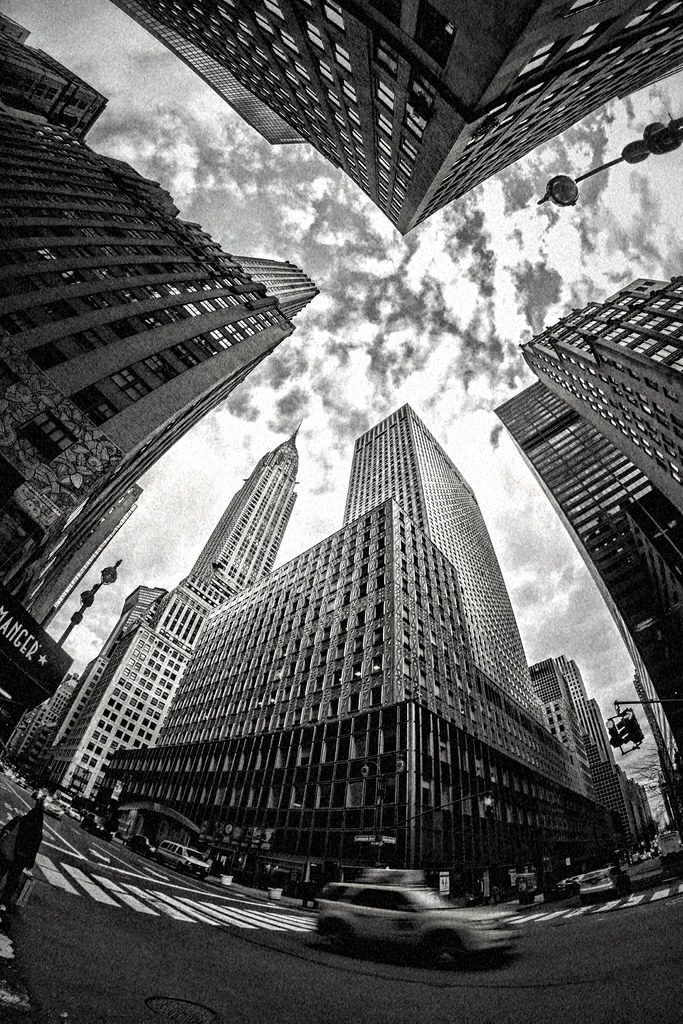 Untitled Sheldon Katz Flickr