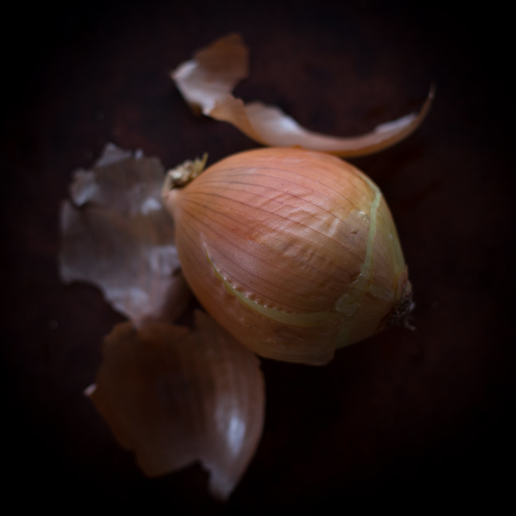 Onions have layers milani.april Flickr