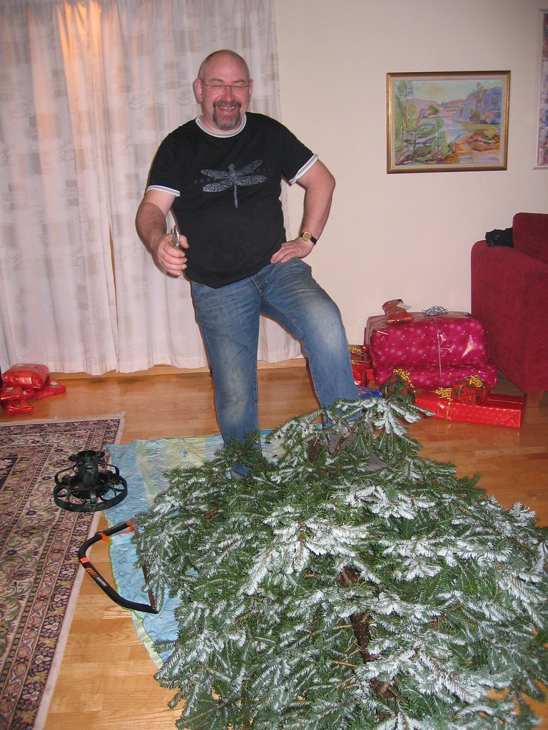 The Tree has been cut The Christmas tree home grown, Flickr