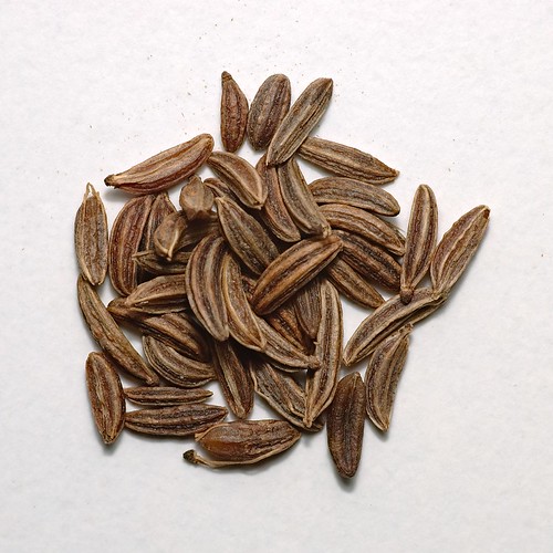 Caraway seed From Carum carvi. gehat Flickr