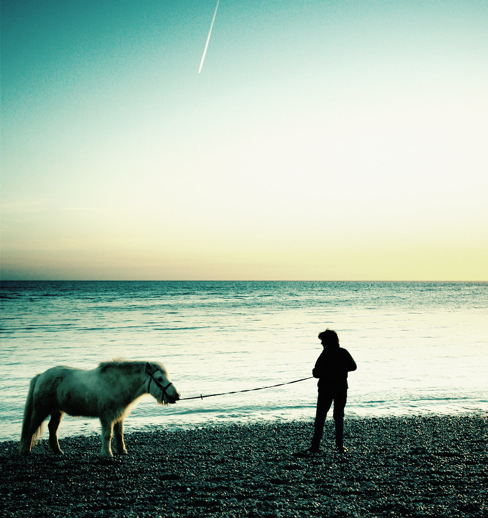 You can take a horse to water.... © 2007 s0ulsurfing Jas… Flickr