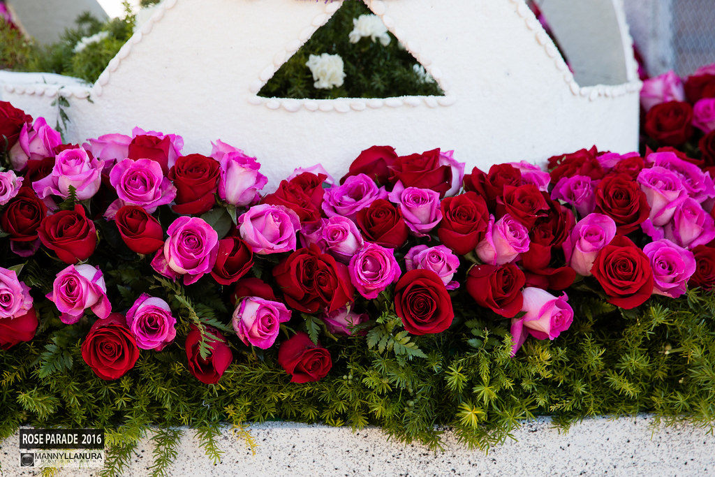 Rose Parade Floats 2016 a photo on Flickriver