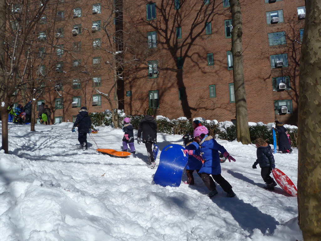 Everybody let's sled in Stuyvesant Town January 24, 2016