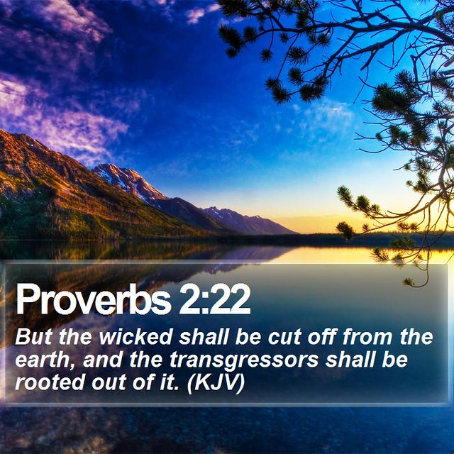 Daily Bible Verse Proverbs 222 Proverbs 222 But the wi… Flickr
