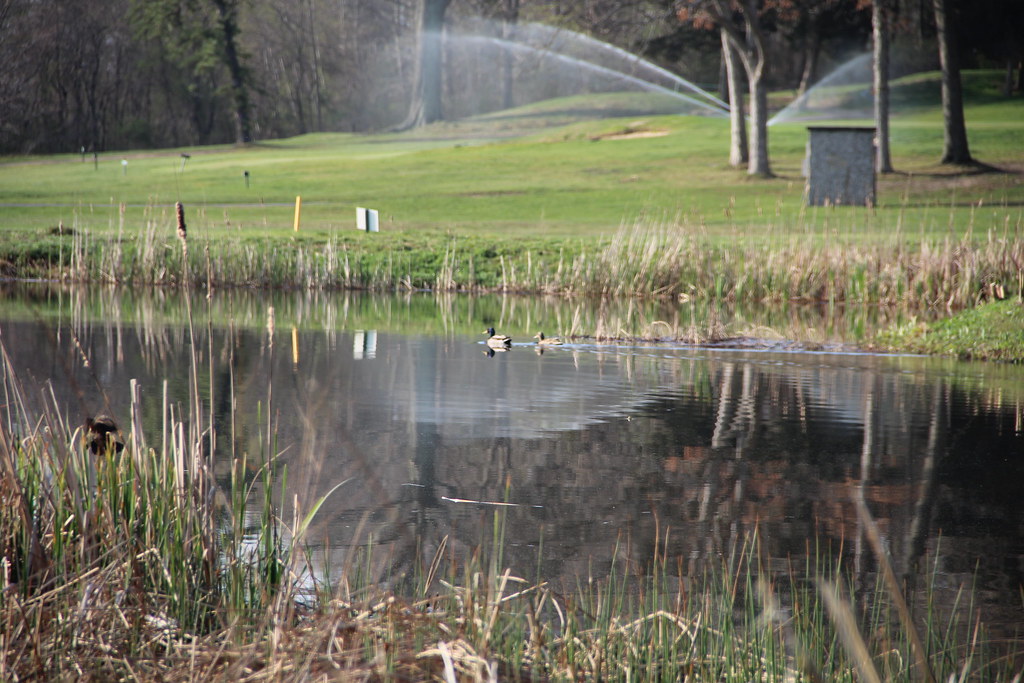 Bethpage State Park Green Course NY State IPM Program at Cornell