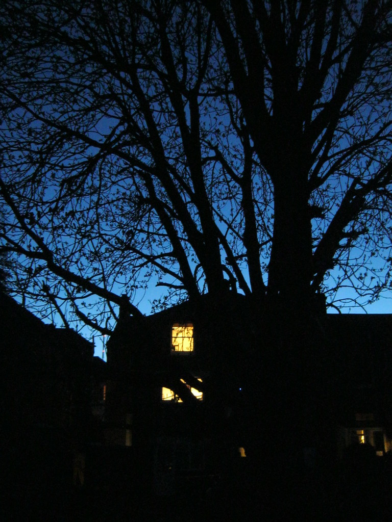 Back garden, twilight, Sydenham Valya Alexander Flickr