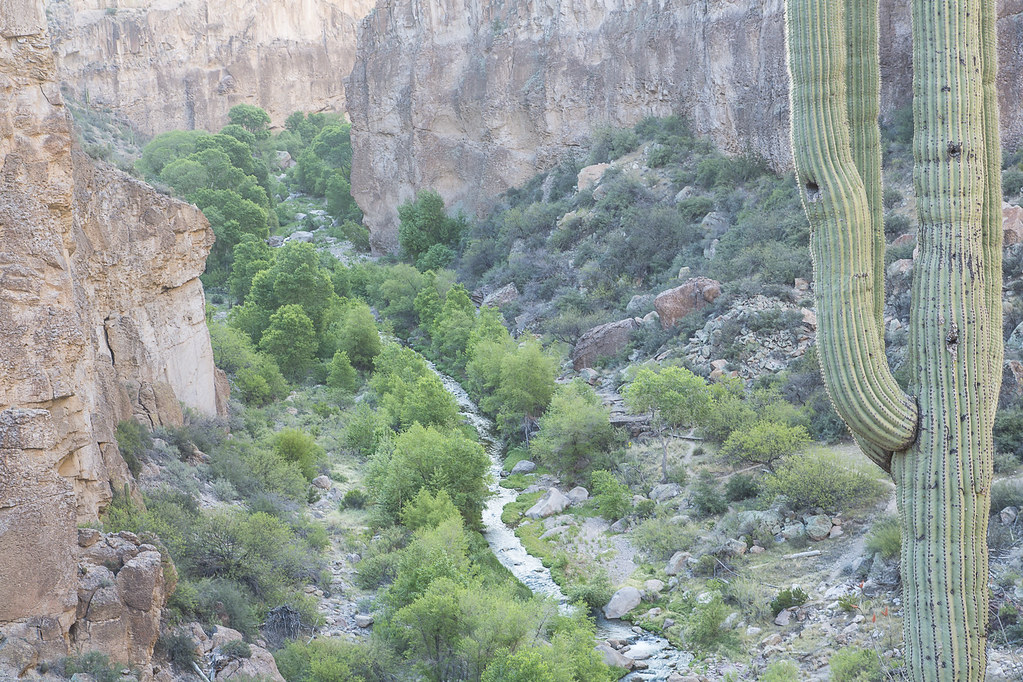 Aravaipa Canyon Wilderness Area The 19,410acre Aravaipa C… Flickr