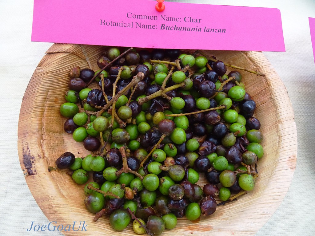 Konkan Fruit Fest 2016 22 24 April, Panaji Goa. Organise… Flickr