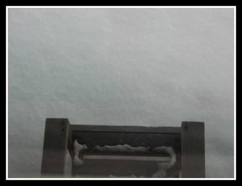 8 Inches simplyjake Flickr