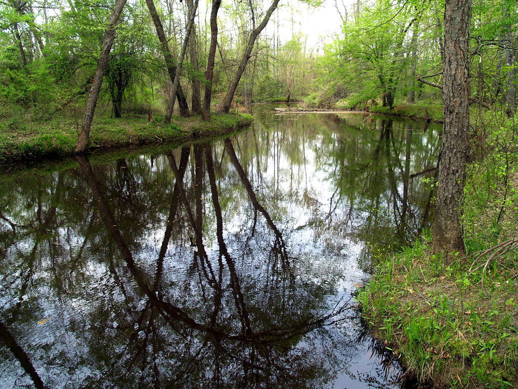 Bayou Bartholomew Bayou Batholomew, as it flows by Pine Bl… Flickr