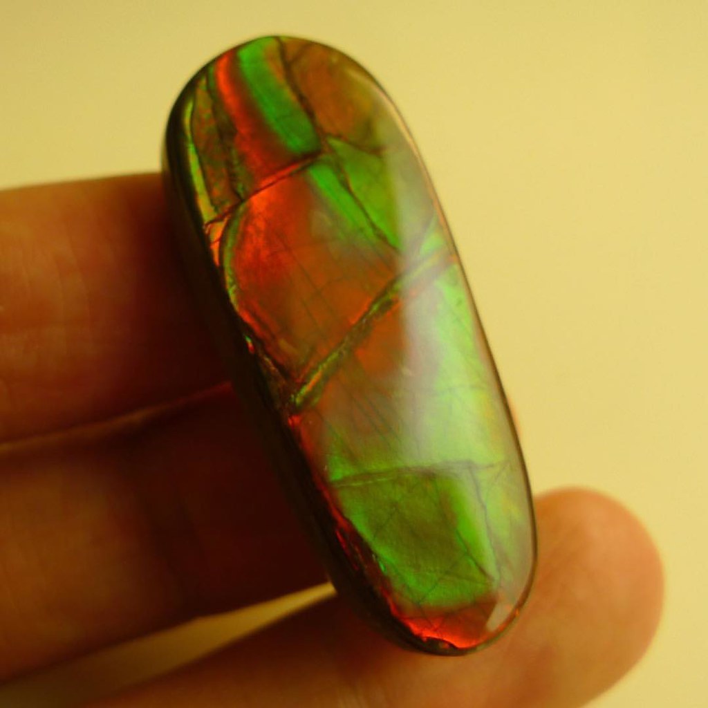 AMMOLITE STONE FOR SALE Item Code LFA012 Stone Ammolite … Flickr