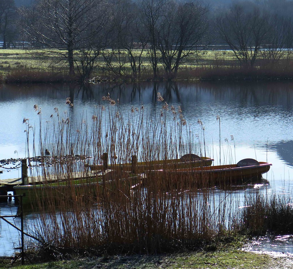Boats for Hire, Grasmere peterabrown Flickr