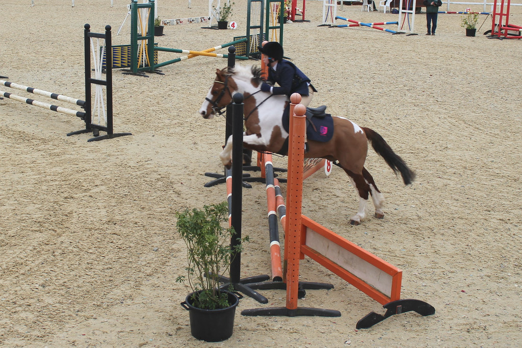 Budding horse riders compete at the National Schools’ Equestrian