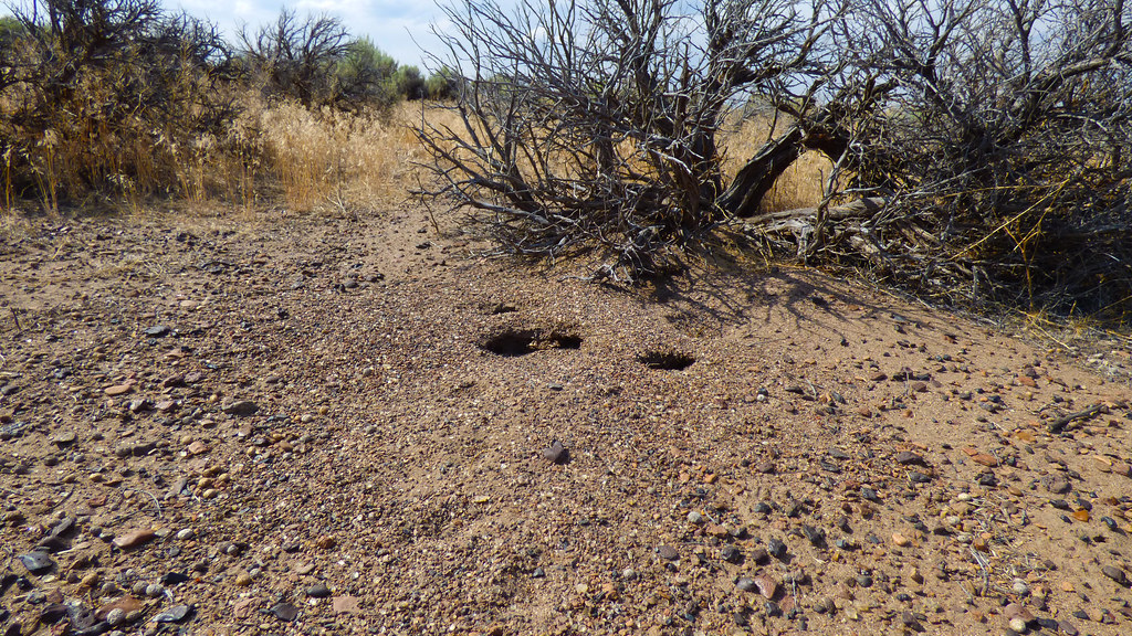 Sunstone Collection Area The Oregon Sunstone Public Collec… Flickr