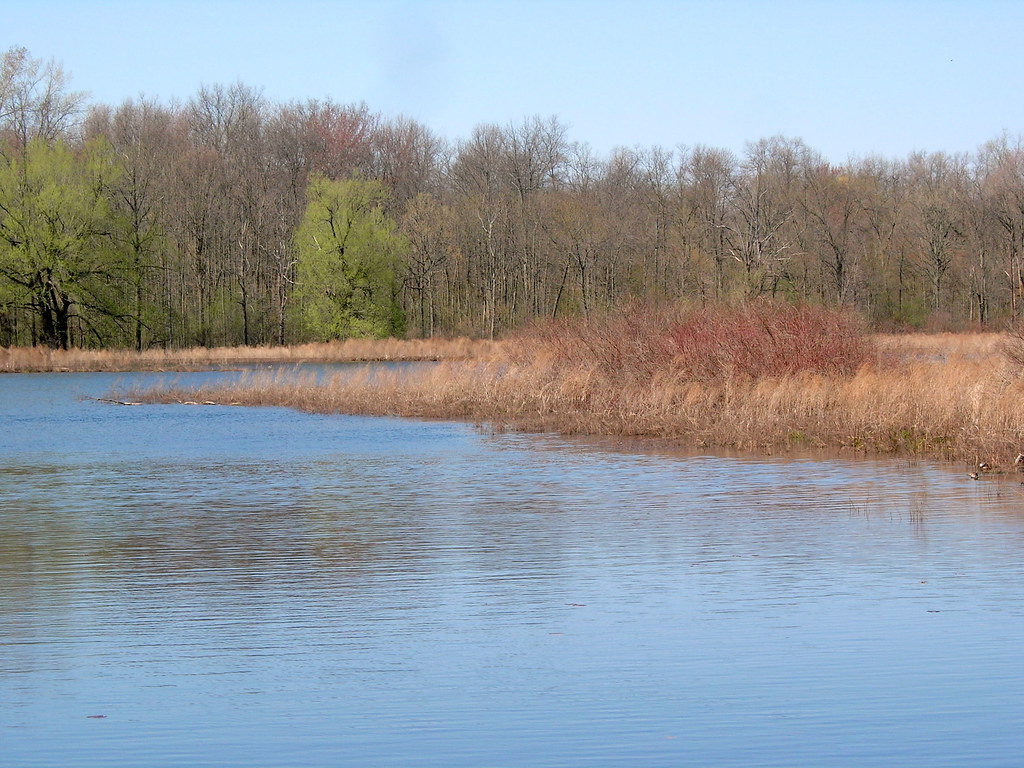 Howland Island Pond in Fall Montezuma Wetlands Complex, NY… Flickr
