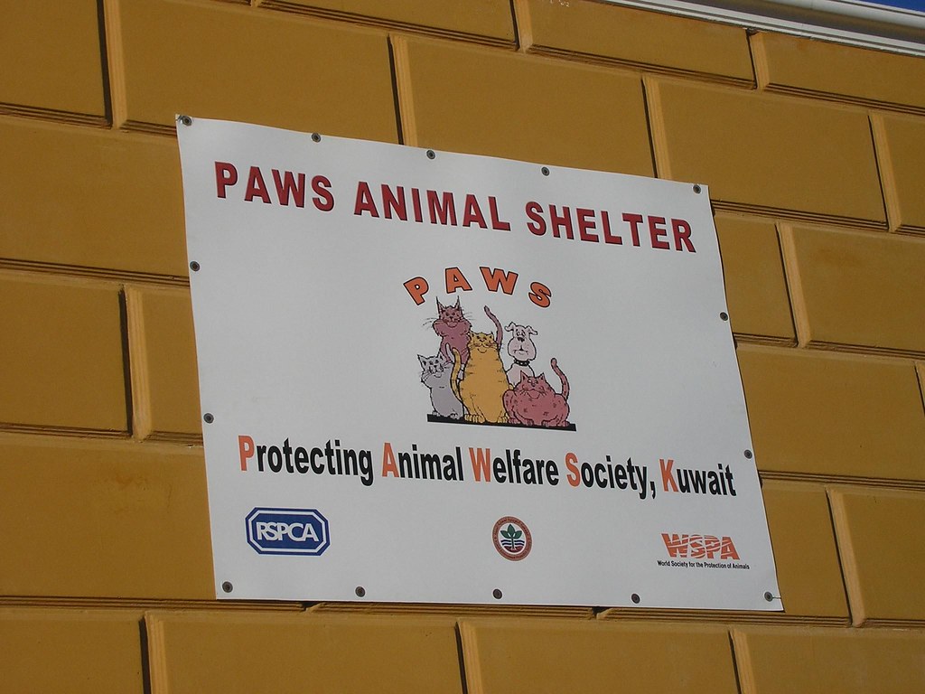 PAWS Animal Shelter, Kuwait Simon Chapman Flickr