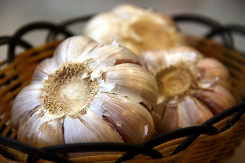 garlic keso s Flickr