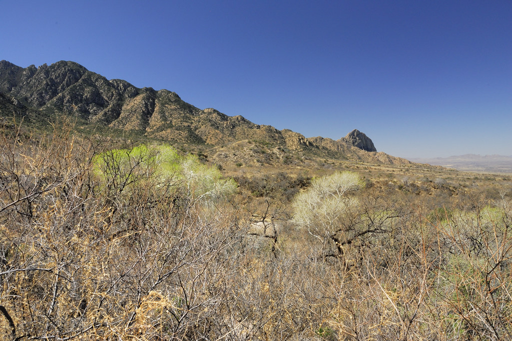 Scenes from Madera Canyon, Arizona billandkent Flickr