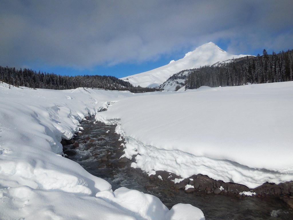 Out of the Clouds by Nina White River snowshoe, Mount Hood… Flickr