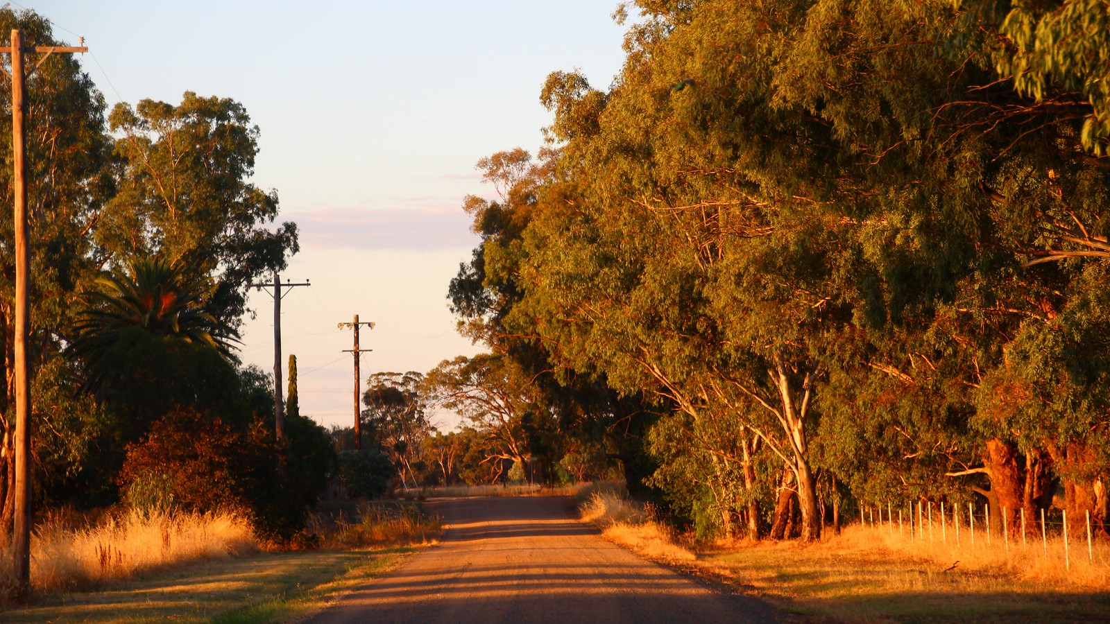 Henty Road Trip Flickr