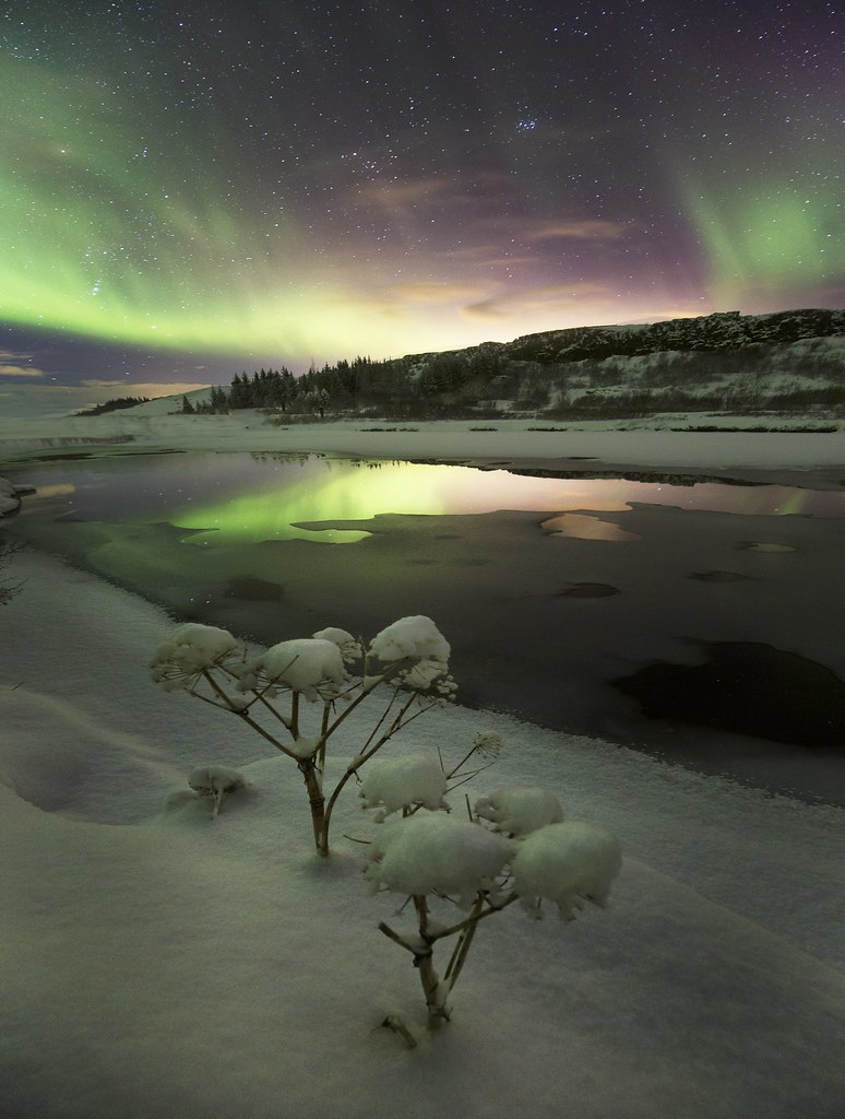 "Power of life" Northern lights over the Þingvellir Nation… Flickr