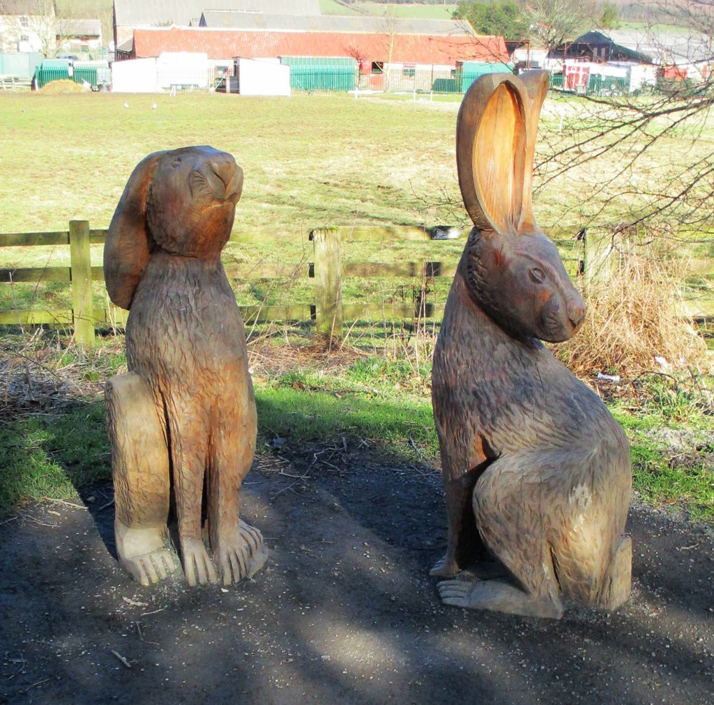 Bunny Rabbit Sculpture at Guisborough Branch Walkway. By S… Flickr