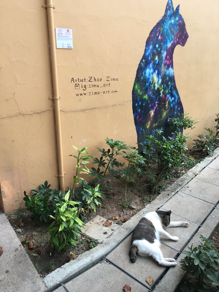 The cat under the cat Holland Village, Singapore Flickr