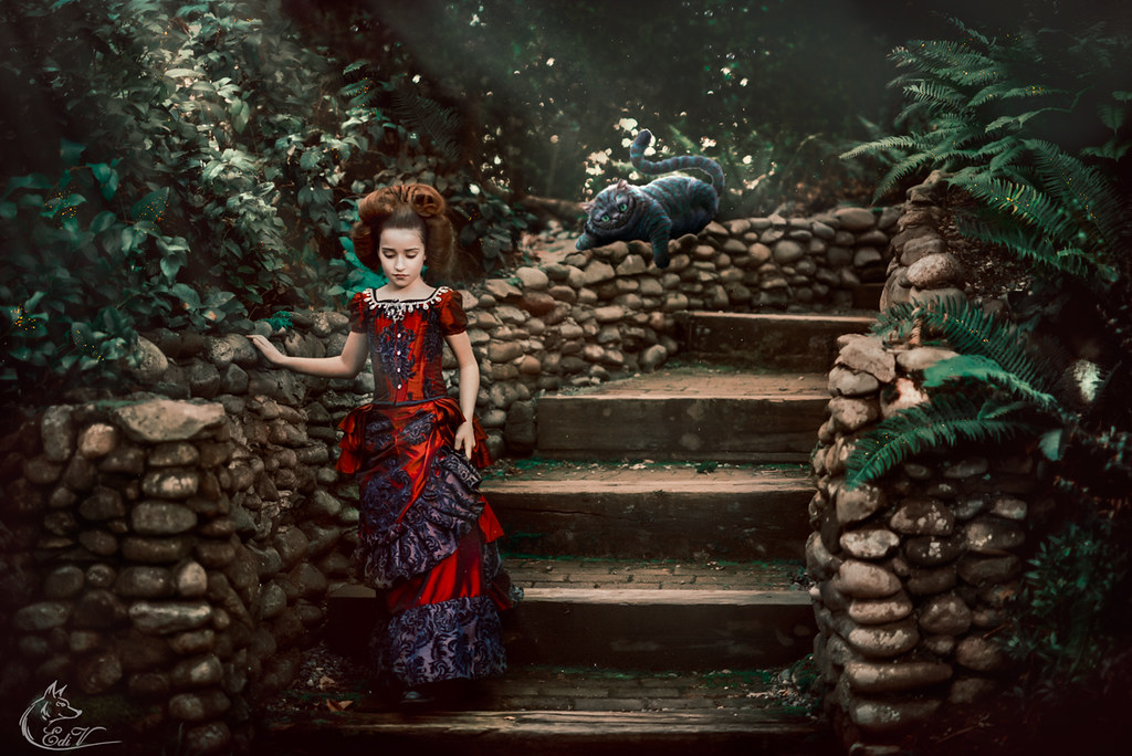 Alice In Wonderland Cover Photos For Facebook