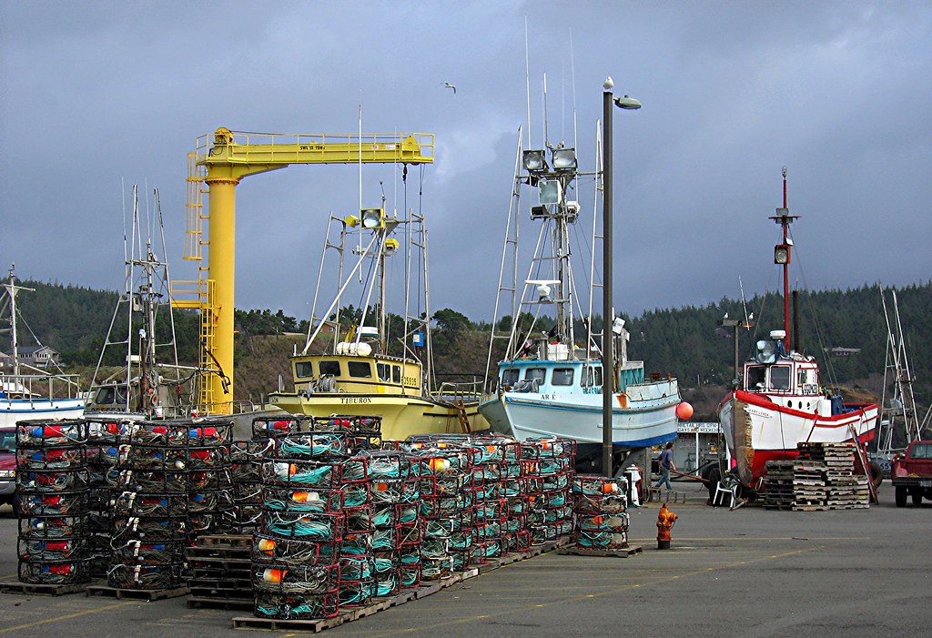 On the Port Orford DockImg_1701 Scene on the Port Orford… Flickr