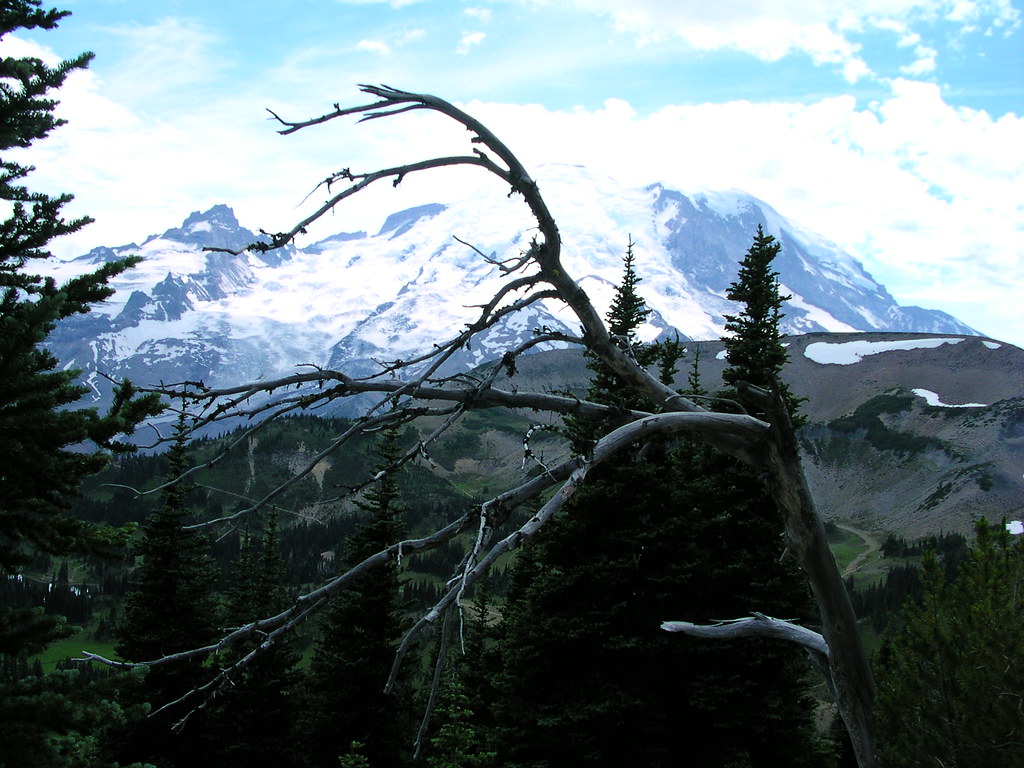 Mt Rainier (Burroughs Mountain) Mt Rainier (Burroughs Moun… Flickr