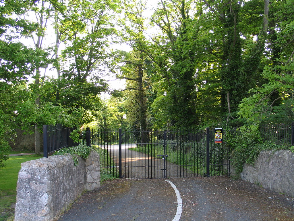 2010 Carrickmines Wood, May Pat Rooney Flickr