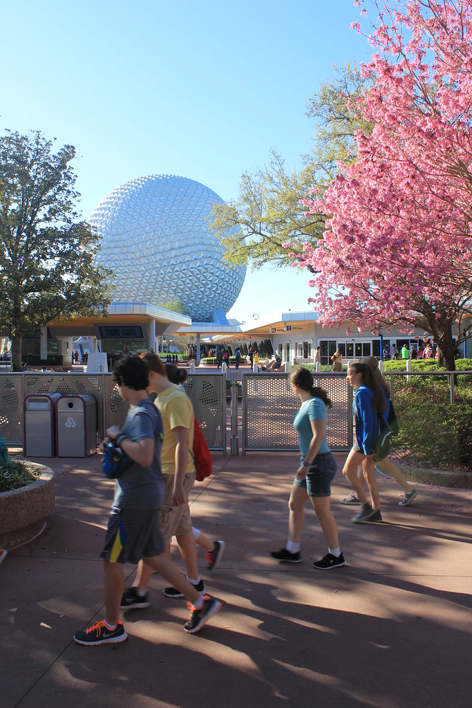 EpcotDisney Springs 2016 (7) BMHS Bands Flickr
