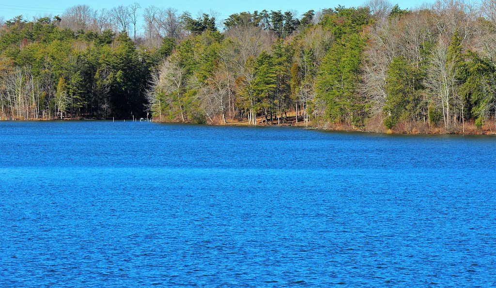 Oak Hollow Lake, NC Miguel Bronaut Flickr