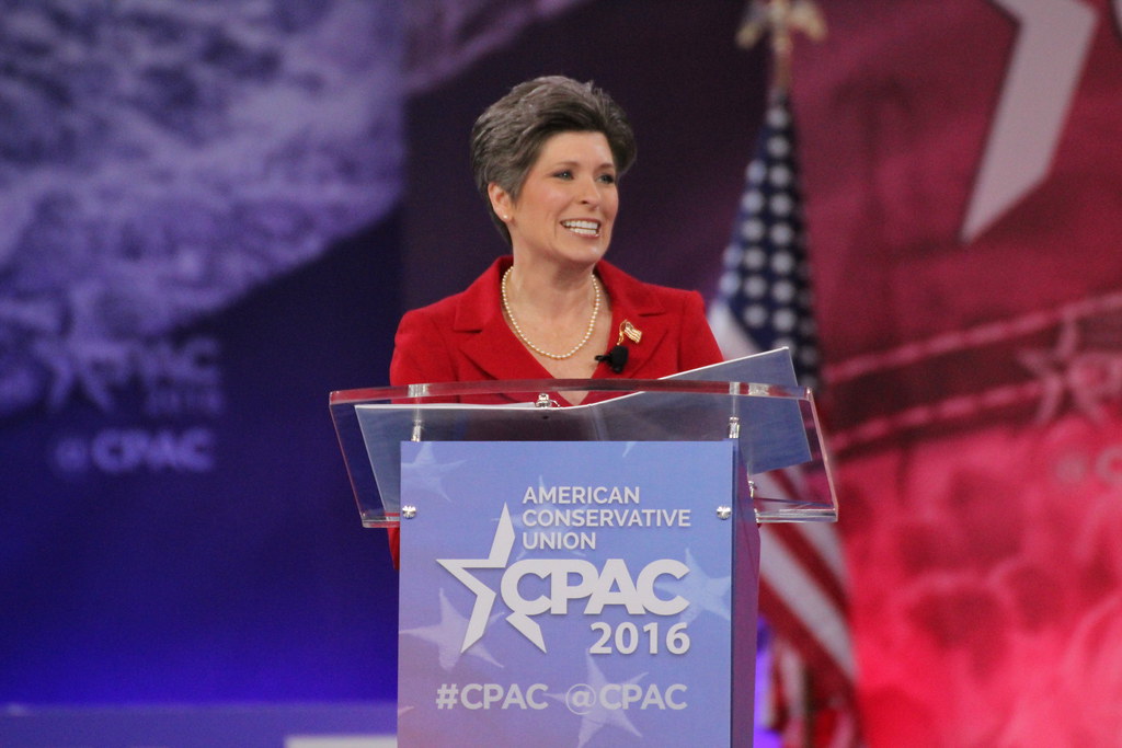 Sen. Joni Ernst (RIA) Don Irvine Flickr
