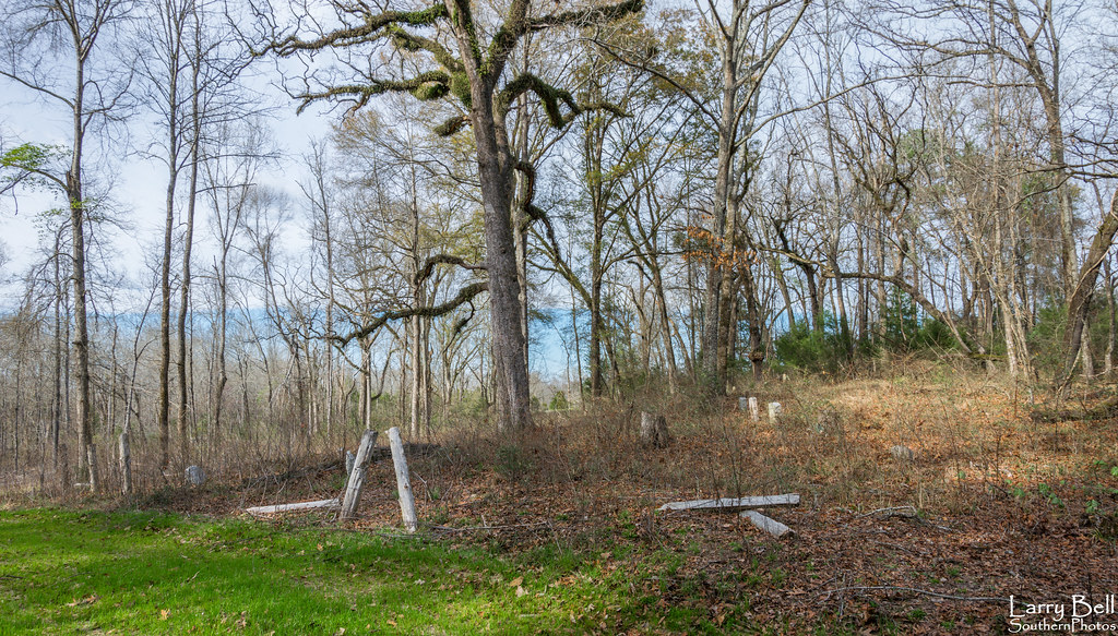 Elevation of Star Ln, Boligee, AL, USA Topographic Map Altitude Map