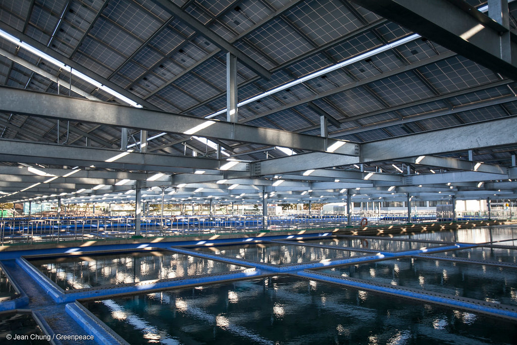 GP0STPONV Gangbuk Arisu Water Purification Centre. Dozens … Flickr