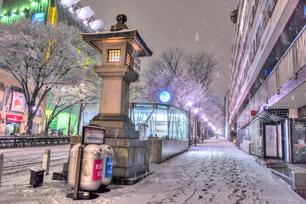 Tokyo Snow 2016 Snow on the streets of Tokyo's Harajuku ne… Flickr