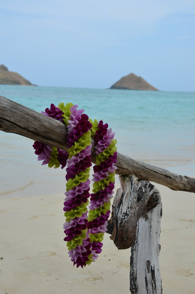 Beautiful Fragrant Flower Leis in Hawaii Fresh Hawaiian Fl… Flickr