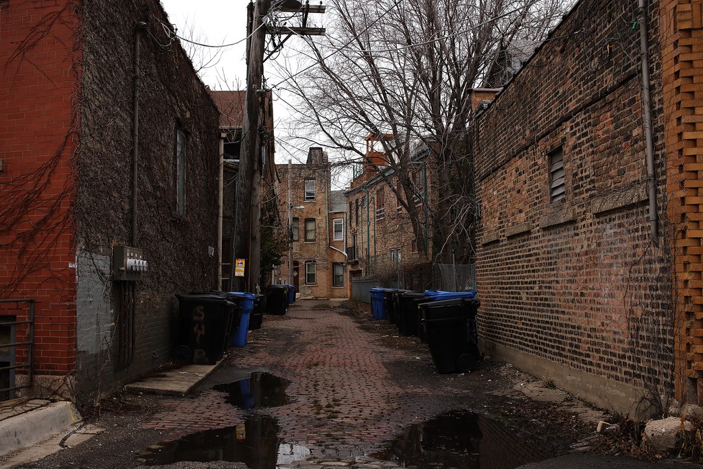 East Pilsen Alley Chicago 22 Dec 2015 5DsM1 223 Flickr