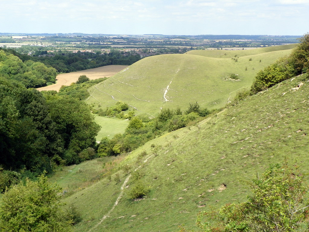 GOC Hexton 049 Barton Hills Barton Hills, BartonleClay,… Flickr