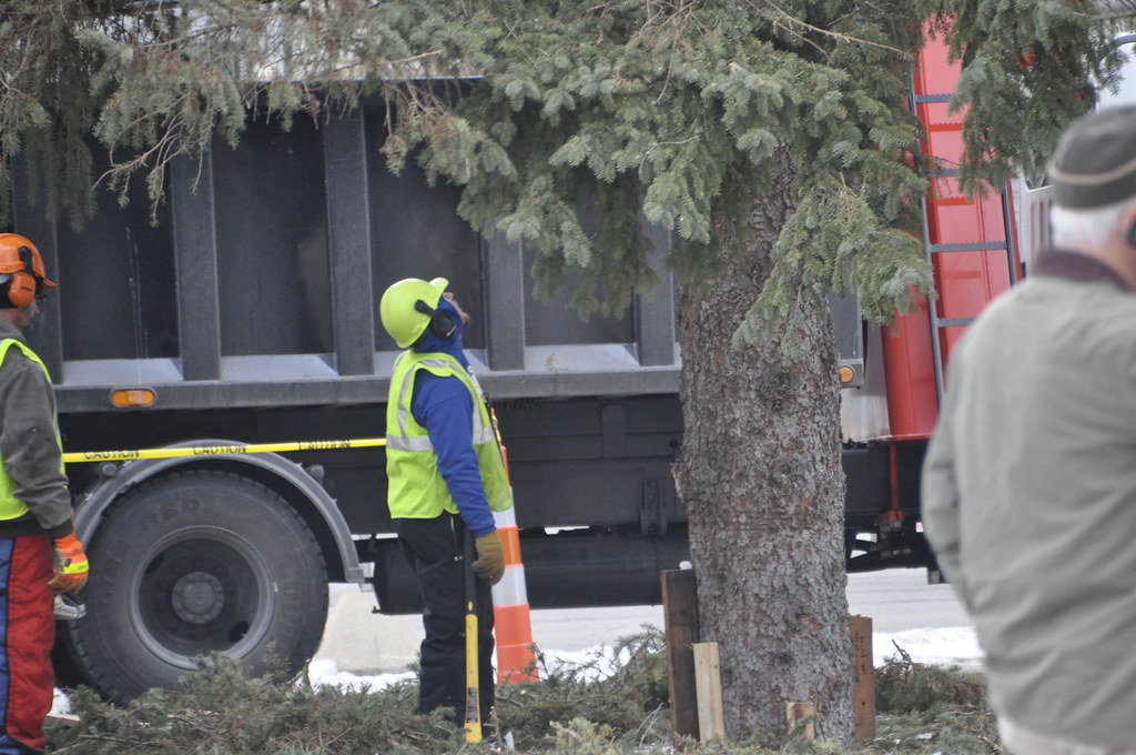 Capitol Christmas Tree Take Down January 2016 Capitol Chri… Flickr
