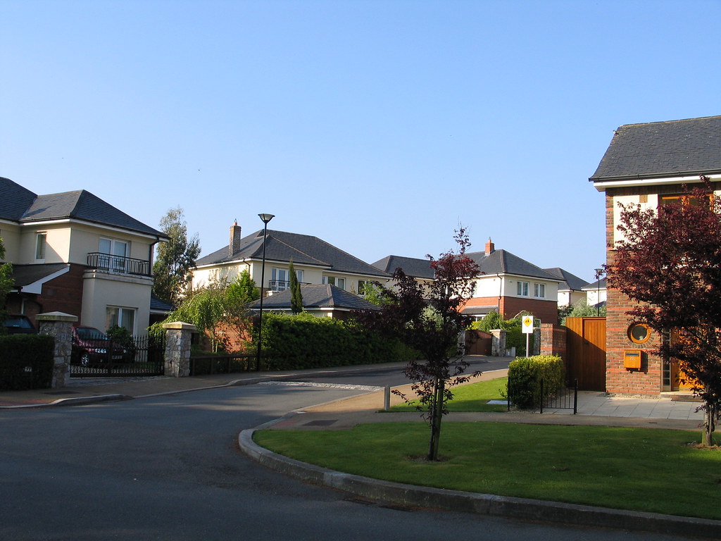 2010 Carrickmines Wood, May Pat Rooney Flickr